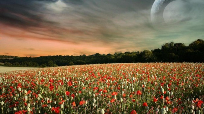 普洱茶投资分析：如何打好“预售”这张牌